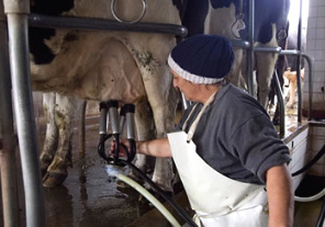 Aportes por $3 millones a productores lecheros de Córdoba