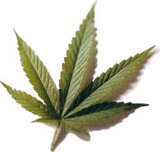 El 58% de la gente apoya la legalización de la marihuana en EE.UU.