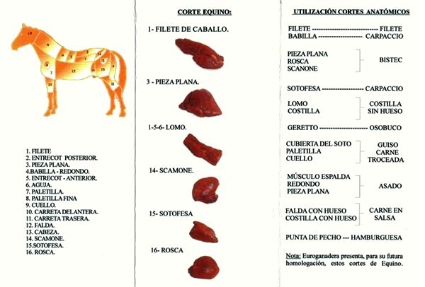 CARNE DE CABALLO - UN NEGOCIO QUE FLORECE EN ARGENTINA