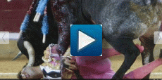 IMPRESIONANTE CORNEADA LE PERFORA LA MITAD DE LA CARA AL TORERO