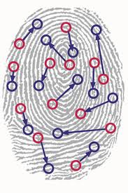 COMO ES Y EN QUE CONSISTE EL SISTEMA DE IDENTIFICACION BIOMETRICA
