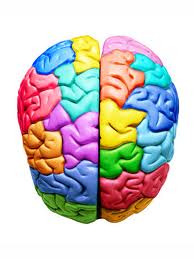 ESTUDIO : LA GENTE MAS INTELIGENTE ES MENOS PROPENSA EN CREER EN DIOS