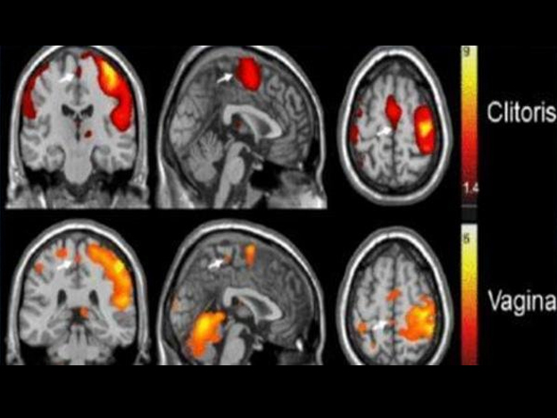 EL MAPA DEL ORGASMO FEMENINO