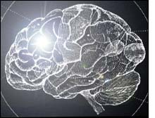 ¿Error propio o ajeno? Para el cerebro, es lo mismo