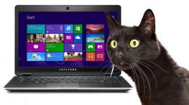 Gigante informático se disculpa porque sus computadoras huelen a pis de gato