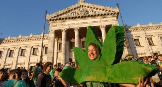 Furor en los consulados Uruguayos por la legalización de la marihuana