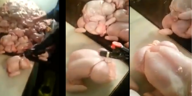 Video: Así inflan a los pollos antes de mostrarlos en los supermercados