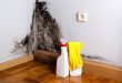 Como eliminar el moho de tu casa