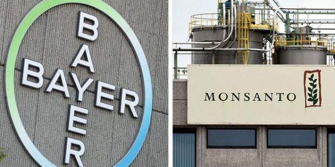 Bayer le venderá a BASF venderle sus divisiones de semillas y herbicidas