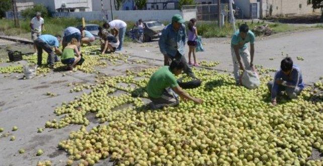 Productores protestarán en Río Negro arrojando peras y manzanas