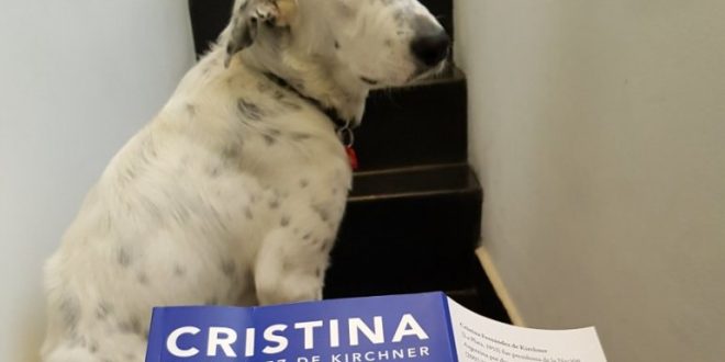 El perro que se "devoró" el libro de Cristina Kirchner
