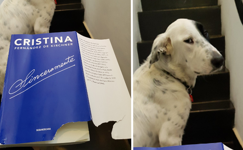 El perro que se "devoró" el libro de Cristina Kirchner