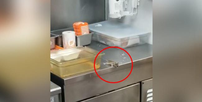 Video: Un ratón se tira a una freidora en un local de comida rápida