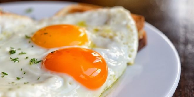 10 razones clave vinculadas a la salud para consumir huevo en la infancia, la adolescencia, la adultez y la vejez.