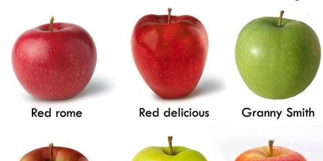 Variedades de manzana