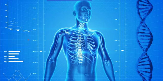 ¿Cómo prevenir la osteoporosis?