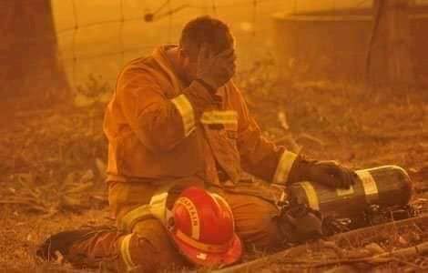 Australia : Un canguro huyendo de las llamas quedó clavado en un alambre de púas.