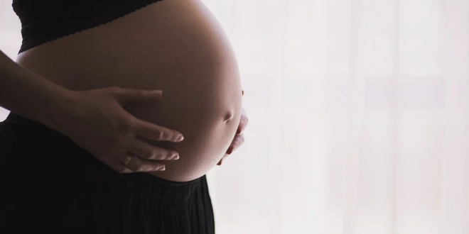 Gobierno de Argentina brinda indicaciones para mujeres embarazadas durante el COVID-19