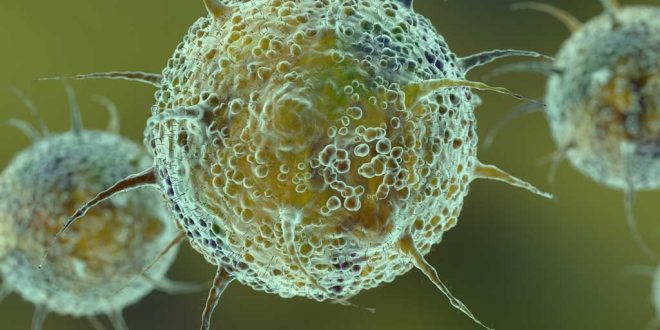 Coronavirus : Nueva variante deltacron, un híbrido entre delta y ómicron