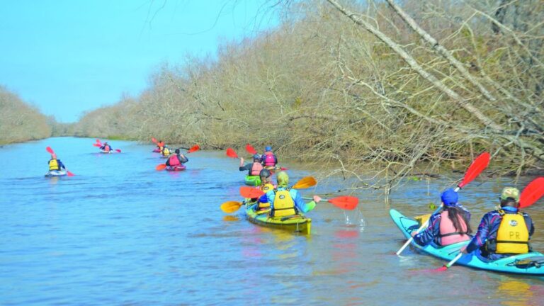 Explora Arroyos Ocultos: Naturaleza Prístina en Kayak