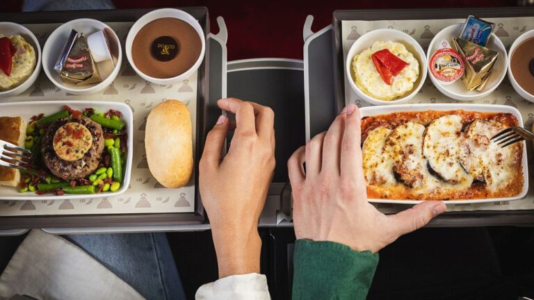 Aerolínea favorita de argentinos: Menús premiados y cabinas más cómodas