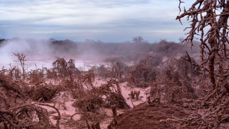 Más de 20 hectáreas de un bosque en Salta están contaminadas, alertan expertos
