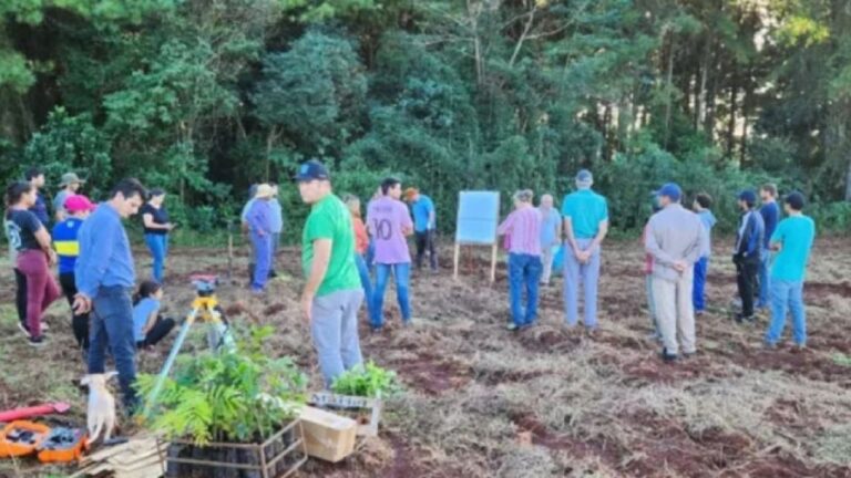 Se Plantan 200,000 Árboles para Proteger al Yaguareté en Misiones
