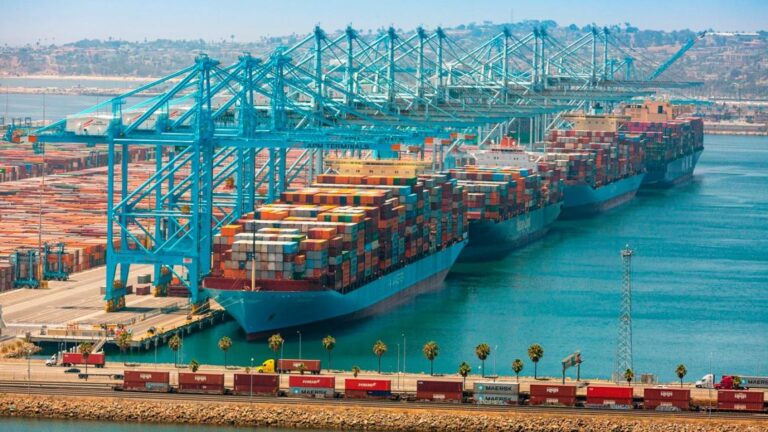 El 47% de las exportaciones argentinas compiten con productos de EE.UU.