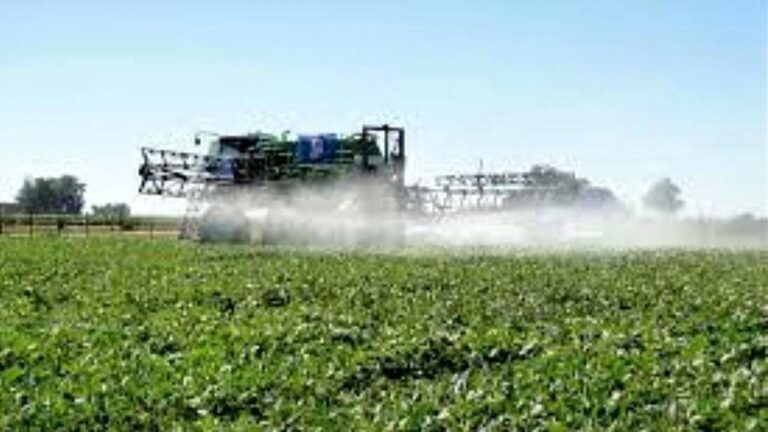 Prohiben fumigaciones con agroquímicos en Barrio Universitario de Horizonte III