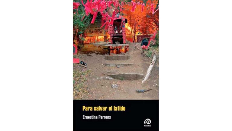 Encuentra Tu Camino: Un Nuevo Perfil