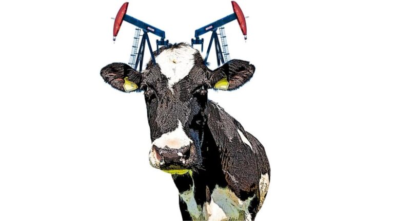 Pierre Menard: El Autor Detrás de Vaca Muerta