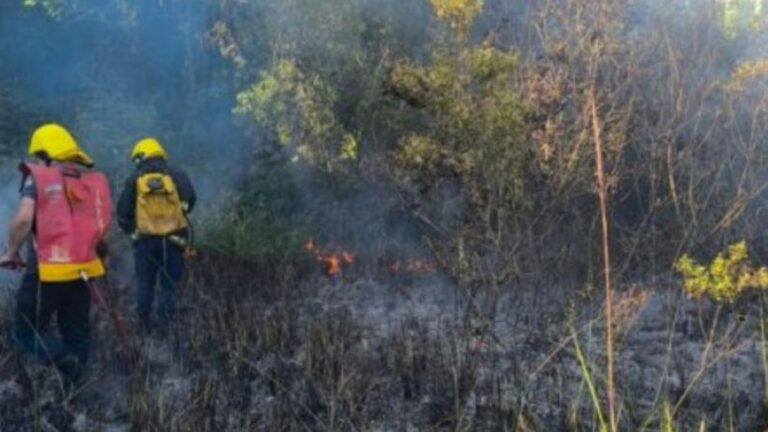 Bomberos de Santa Ana sofocan incendio que amenazaba el monte nativo