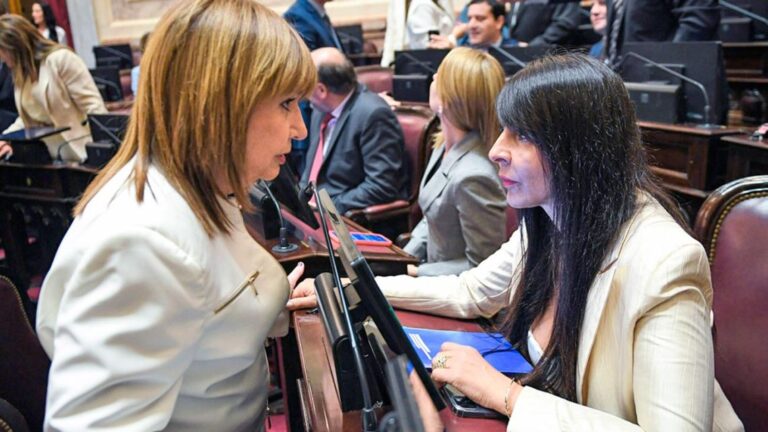 23 Senadores Juraron: Lorena Villaverde, Fuera del Oficialismo