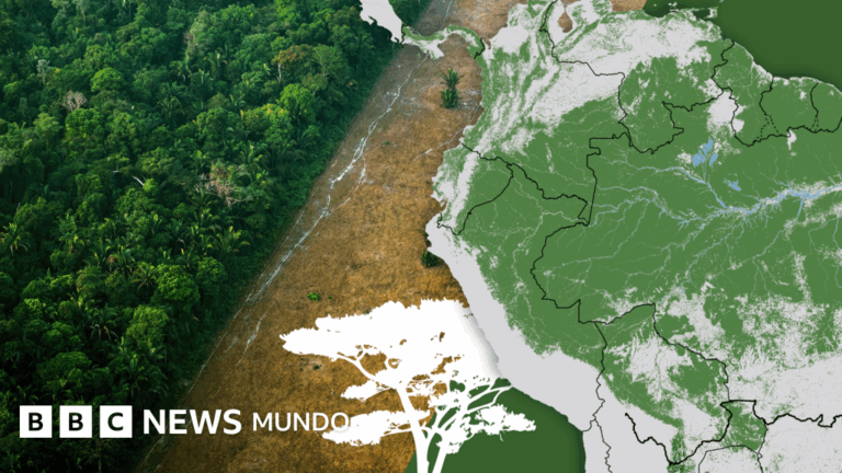 La Amazonía en Peligro: Gráficos y Fotos que Revelan su Decadencia