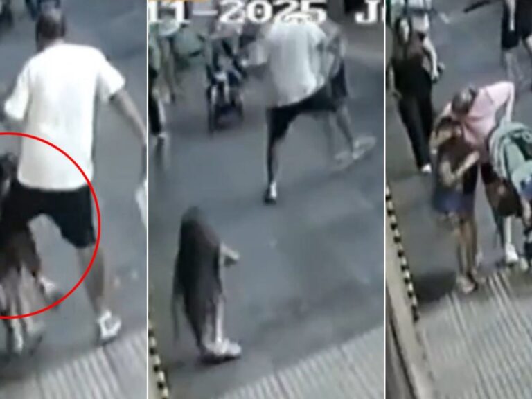 Hombre con carnet de discapacidad agredió a niña de 7 años en Palermo
