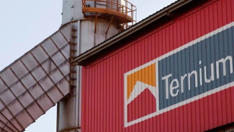 Gigante del Acero Argentino Alerta por Aumento de Importaciones Chinas