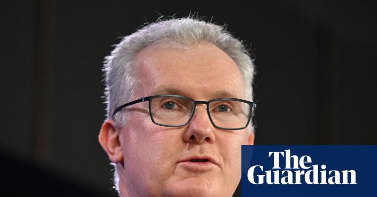Tony Burke Examines Anti-Hate Laws: Neo-Nazi from Sudáfrica No Regresará a Australia
