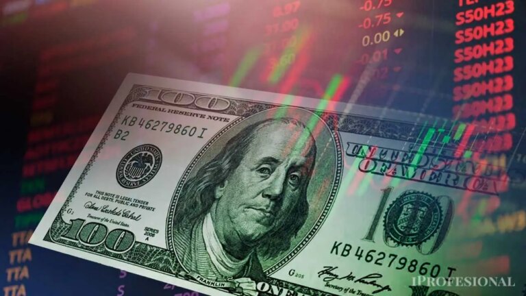 De la Dolarización Extrema a la Estabilidad: Un Cambio en el Mercado
