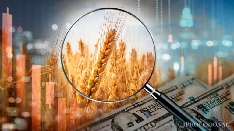 El Dólar Ideal: ¿Cuál es su Precio para los Sectores Exportadores?