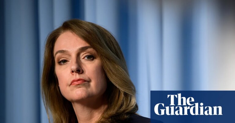 Kellie Sloane: ¿Puede la nueva líder liberal de NSW, ex periodista, revivir al partido?
