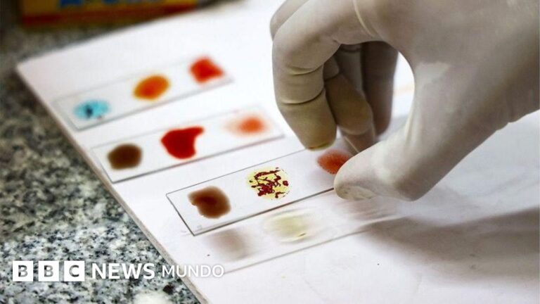El desafío de cultivar la sangre dorada: científicos buscan replicar la sangre más rara del mundo