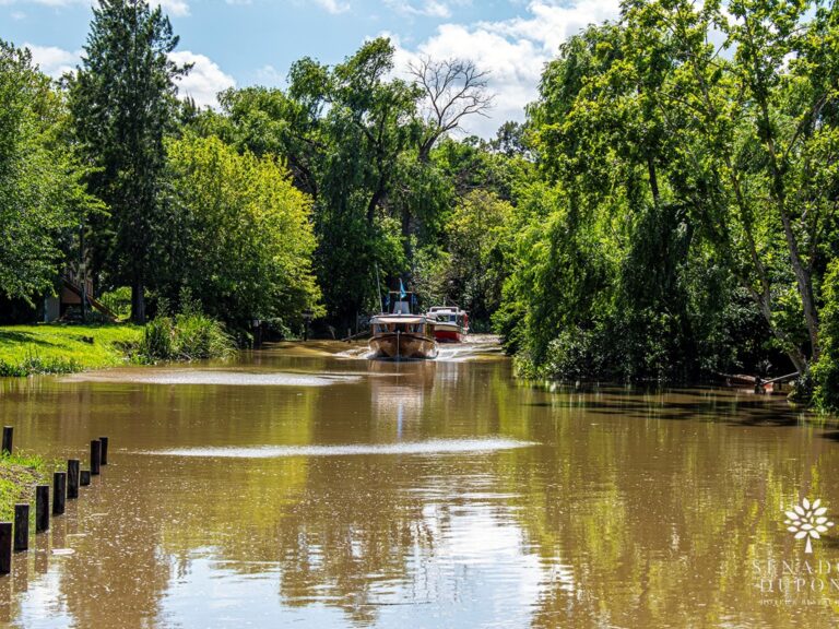 Descubre 5 Imperdibles del Delta de Tigre