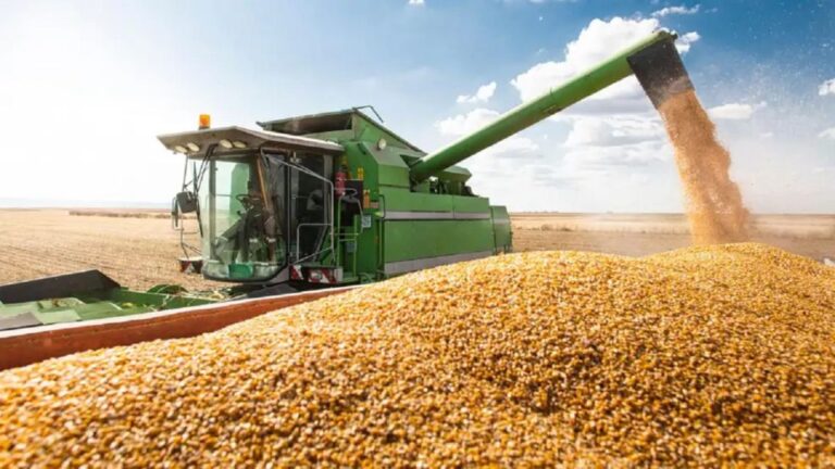 Nuevo Termómetro Mensual Revela Tendencias en la Cadena Agropecuaria