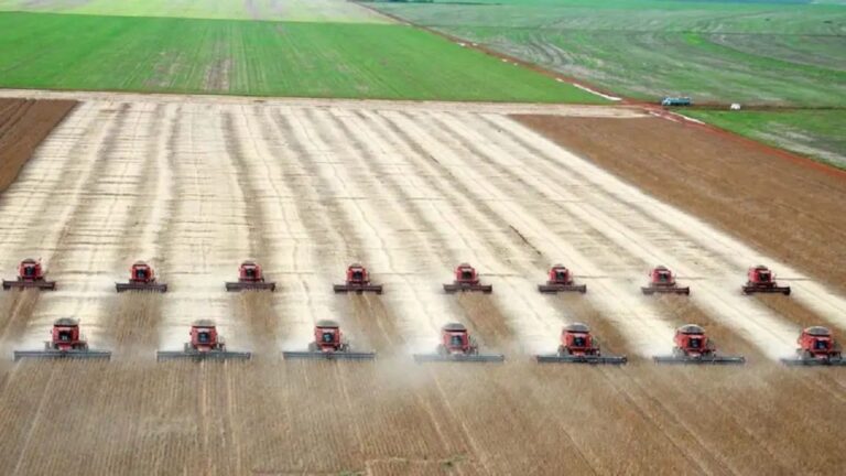 Expectativas Históricas en el Agro: Los Tres Principales Cultivos de Argentina Brillan