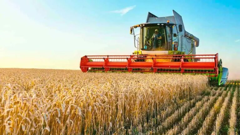 Exceso de Producción en el Agro: Un Desafío Inusual para Argentina