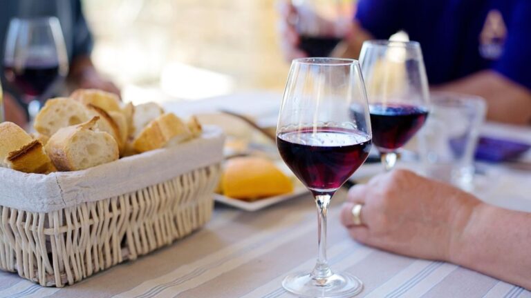 Noche de Vinotecas: Bodegas Participantes y Delicias para Probar