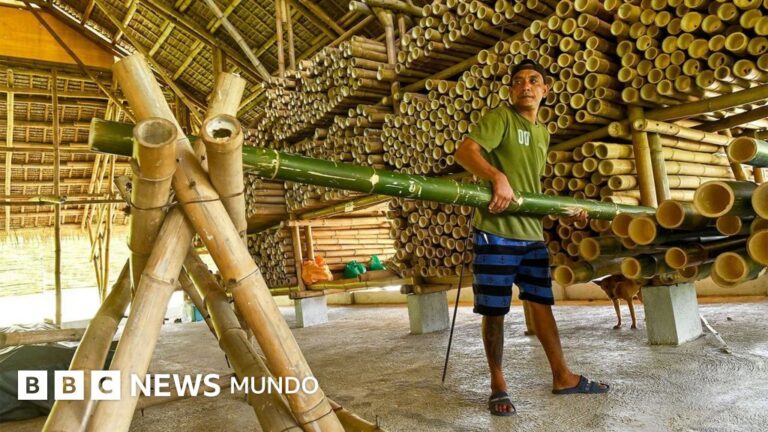 El Bambú: La Revolución Antisísmica en la Construcción Sudamericana