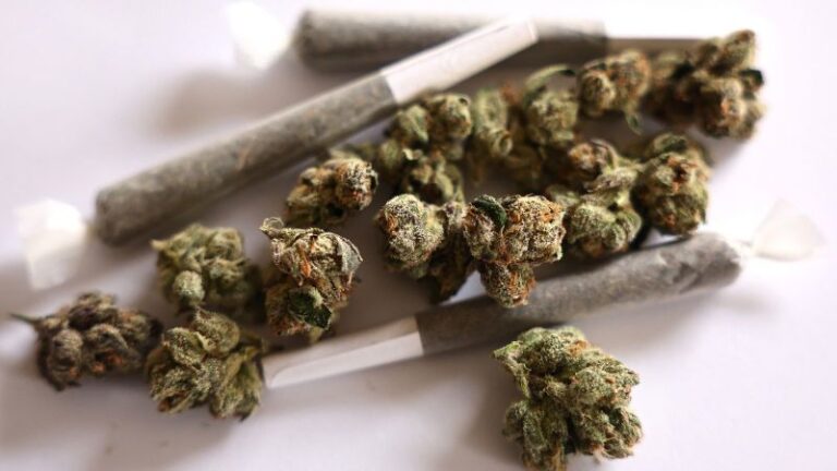 El cannabis podría ser reclasificado: 5 cosas clave que debes saber