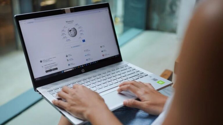 Las 25 Páginas de Wikipedia Más Populares de 2024