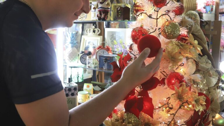 8 de diciembre: Costo de armar tu árbol de Navidad en 2025